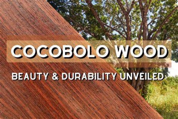 Is cocobolo wood legal?