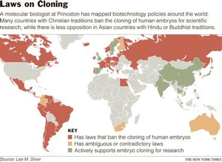 Is human cloning illegal?