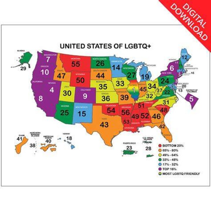 Is NYU Lgbtq friendly?