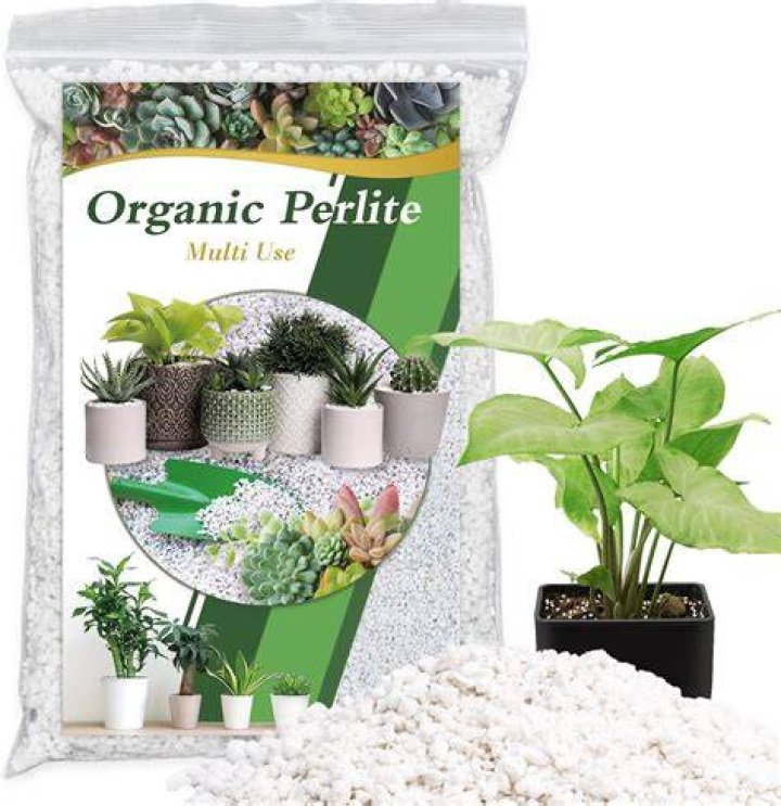 Is perlite safe for indoor plants?
