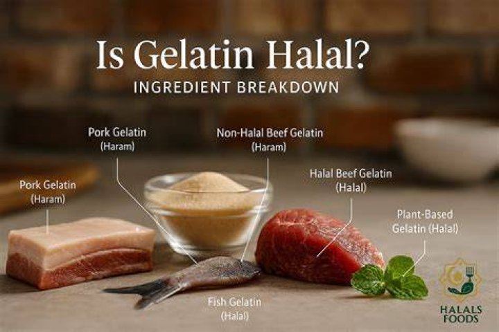 Is pig gelatin halal?
