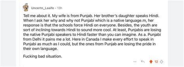 Is Punjabi language dying in India?