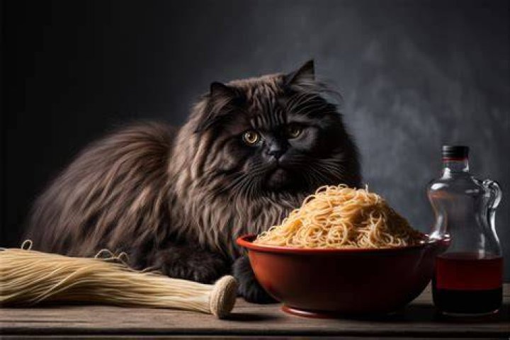 Is spaghetti sauce OK for cats?