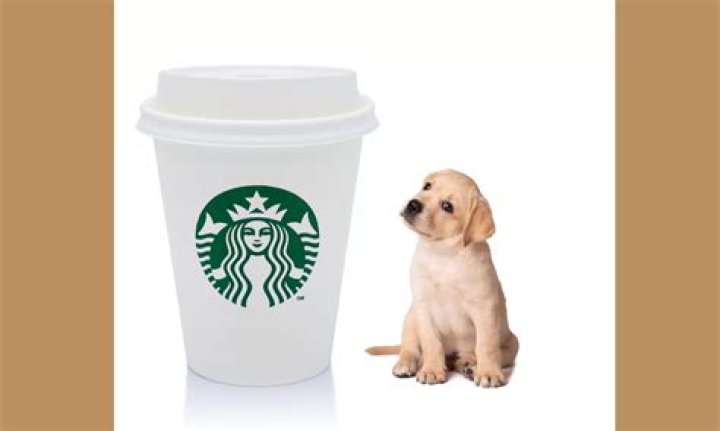 Is Starbucks Puppuccino free?