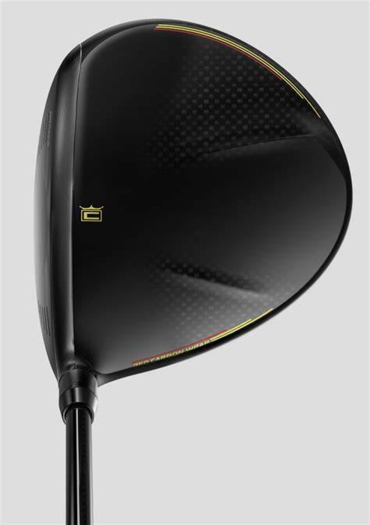 Is the Cobra speedzone a forgiving driver?