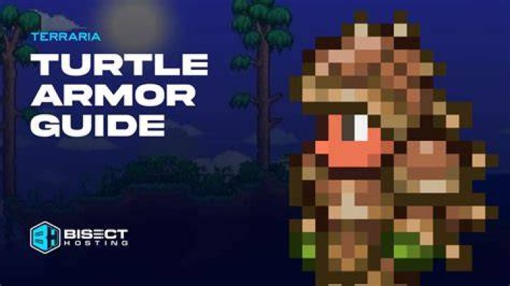 Is Turtle armor good Terraria?