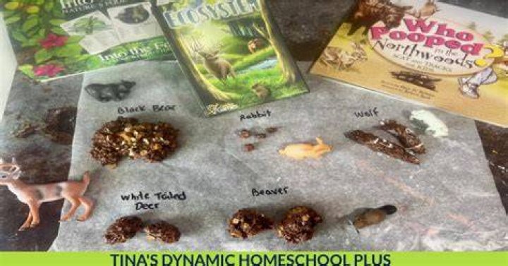 What animal poop is edible?