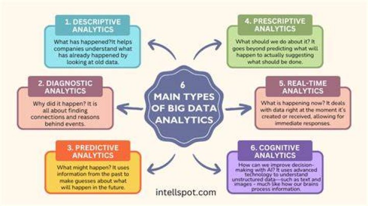 What are examples of business analytics?