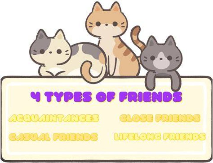 What are the 4 types of friends?