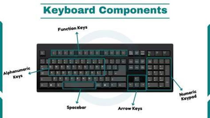 What are the 5 main functions of keyboard?