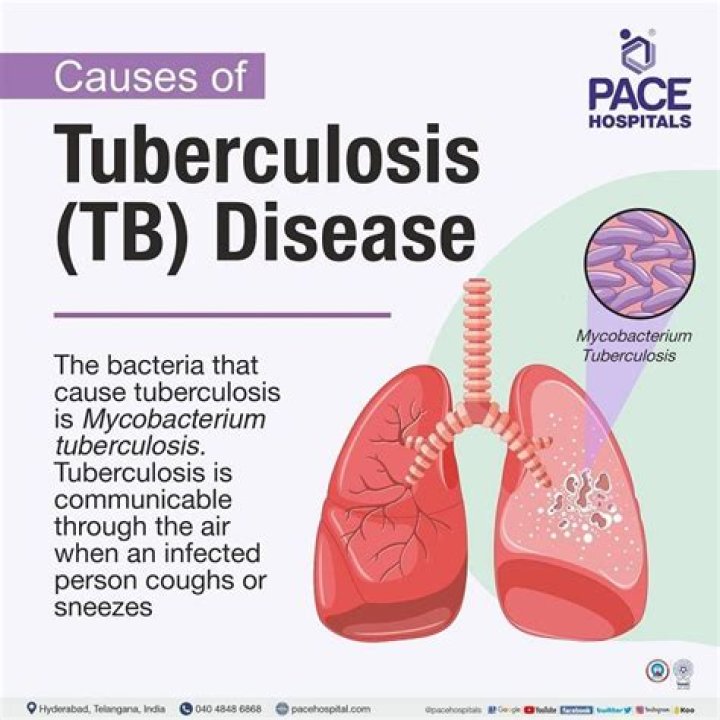 What are the problems in tuberculosis?
