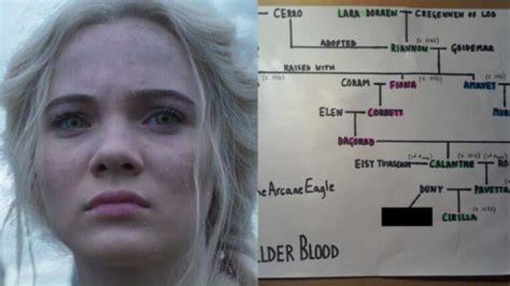 What blood does Ciri have?