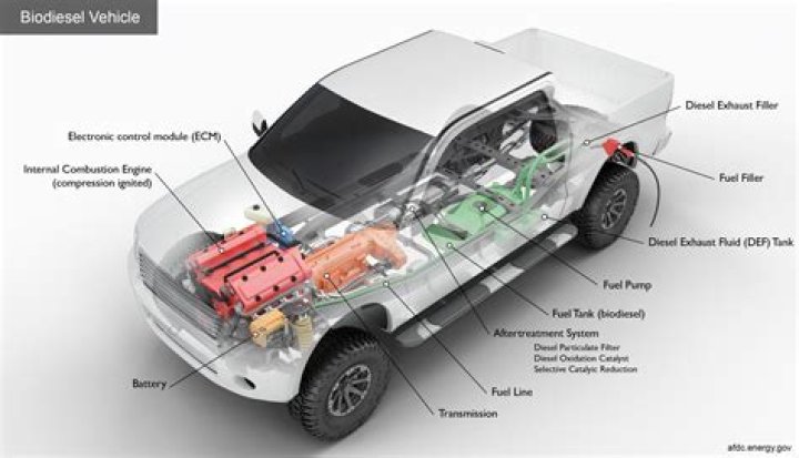 What cars can run on biodiesel?