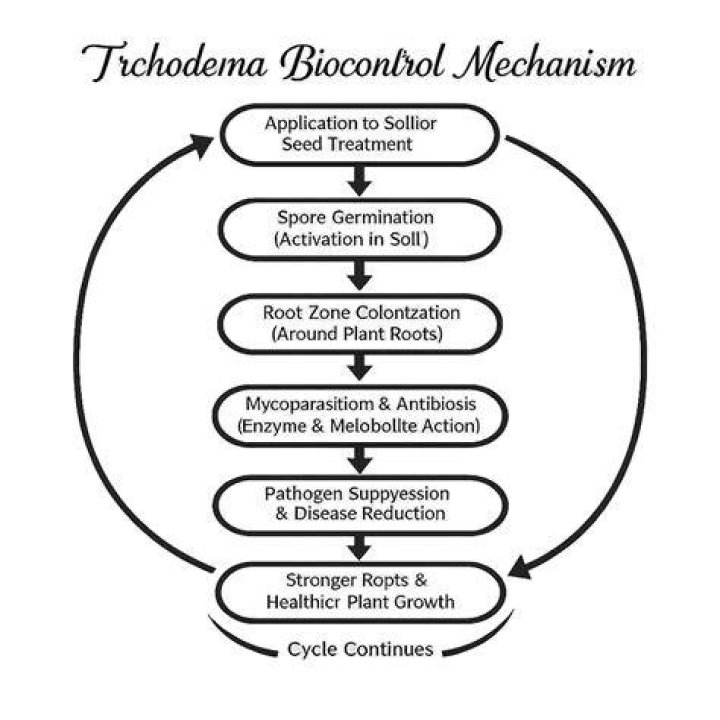 What causes Trichoderma?