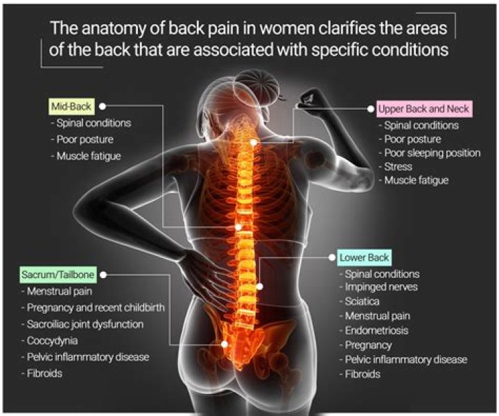 What causes waist pain in female?