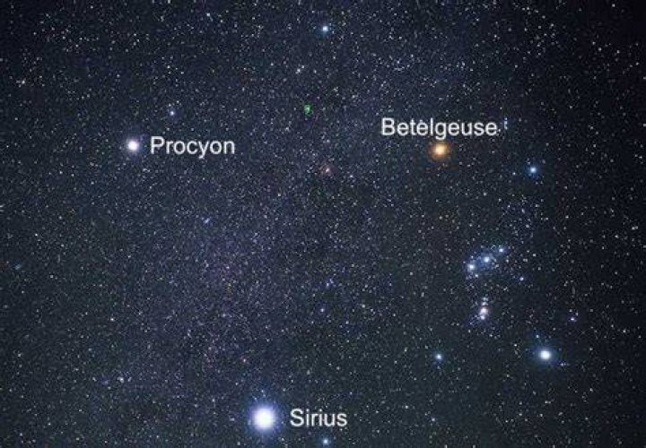 What color is Procyon?