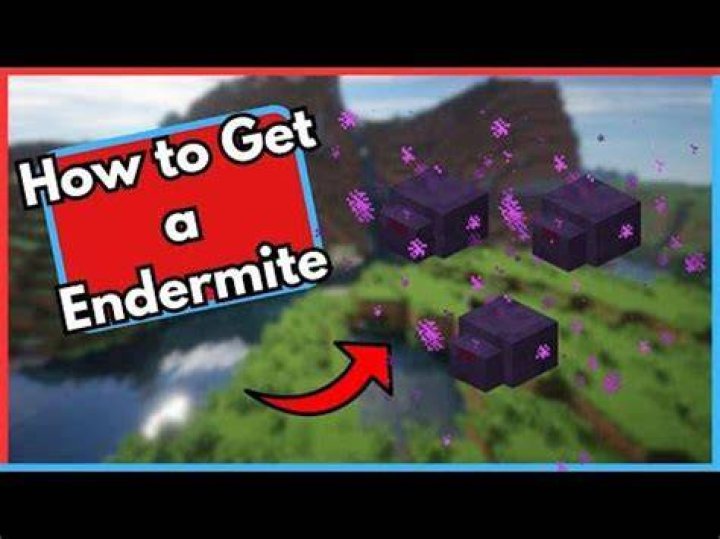 What do Endermites do?
