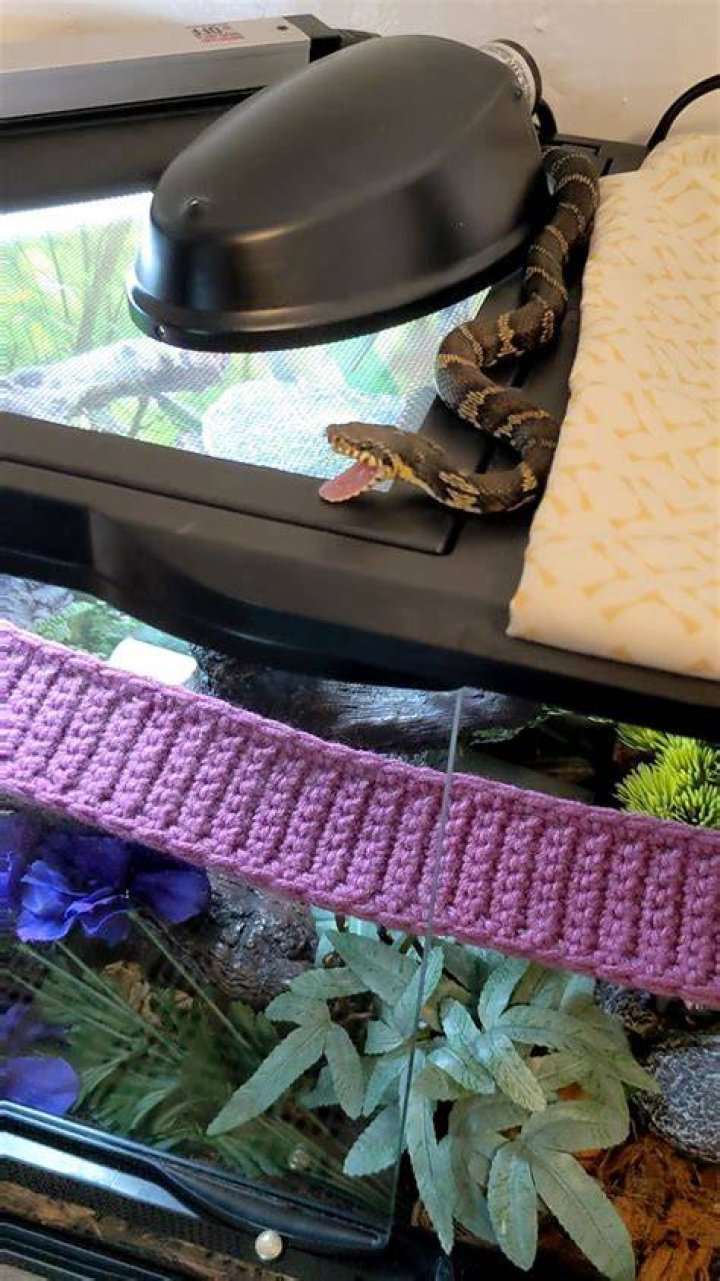 What does it mean if a snake yawns?