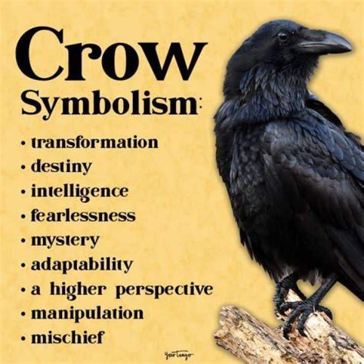 What does the crow mean spiritually?