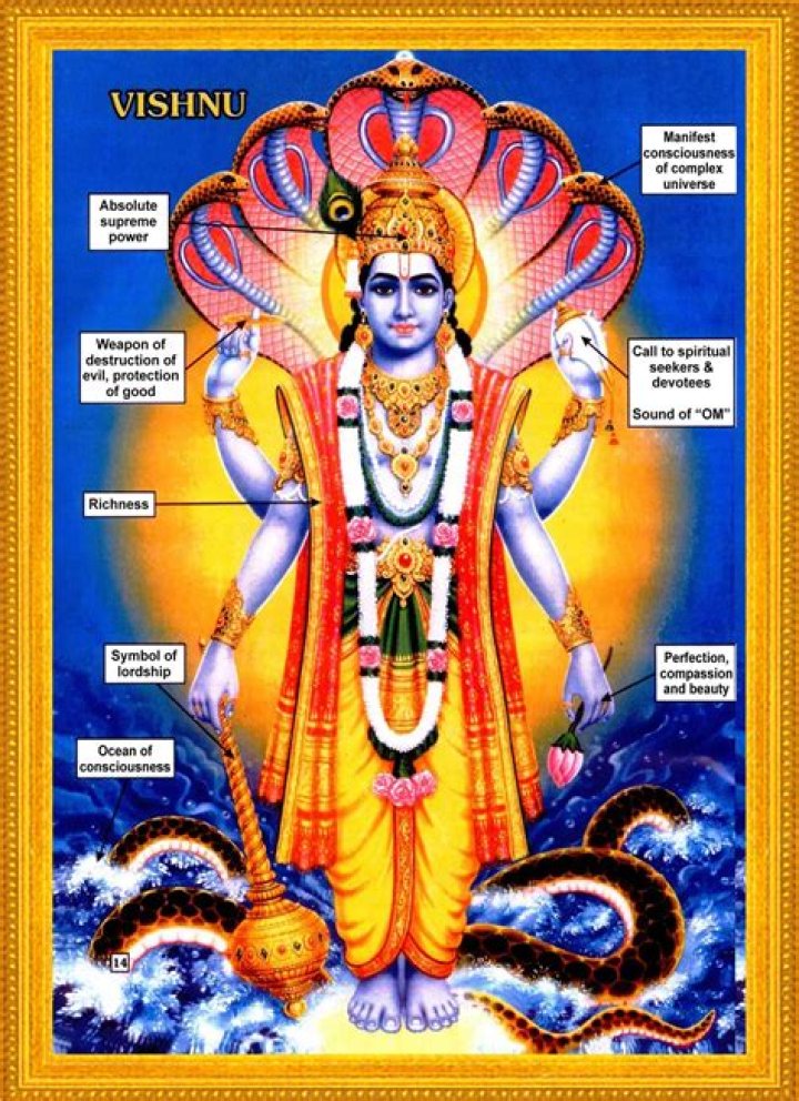 What does Vishnu look like?