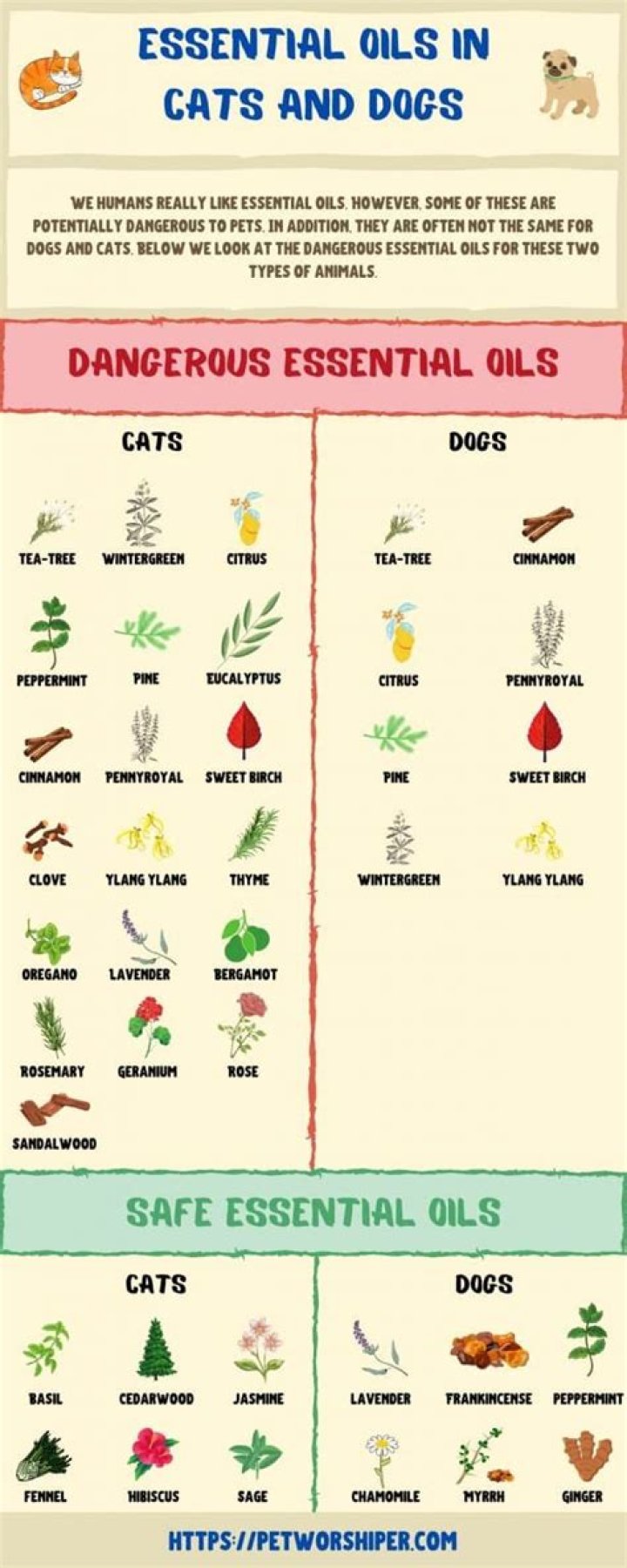 What essential oils are bad for dogs and cats?