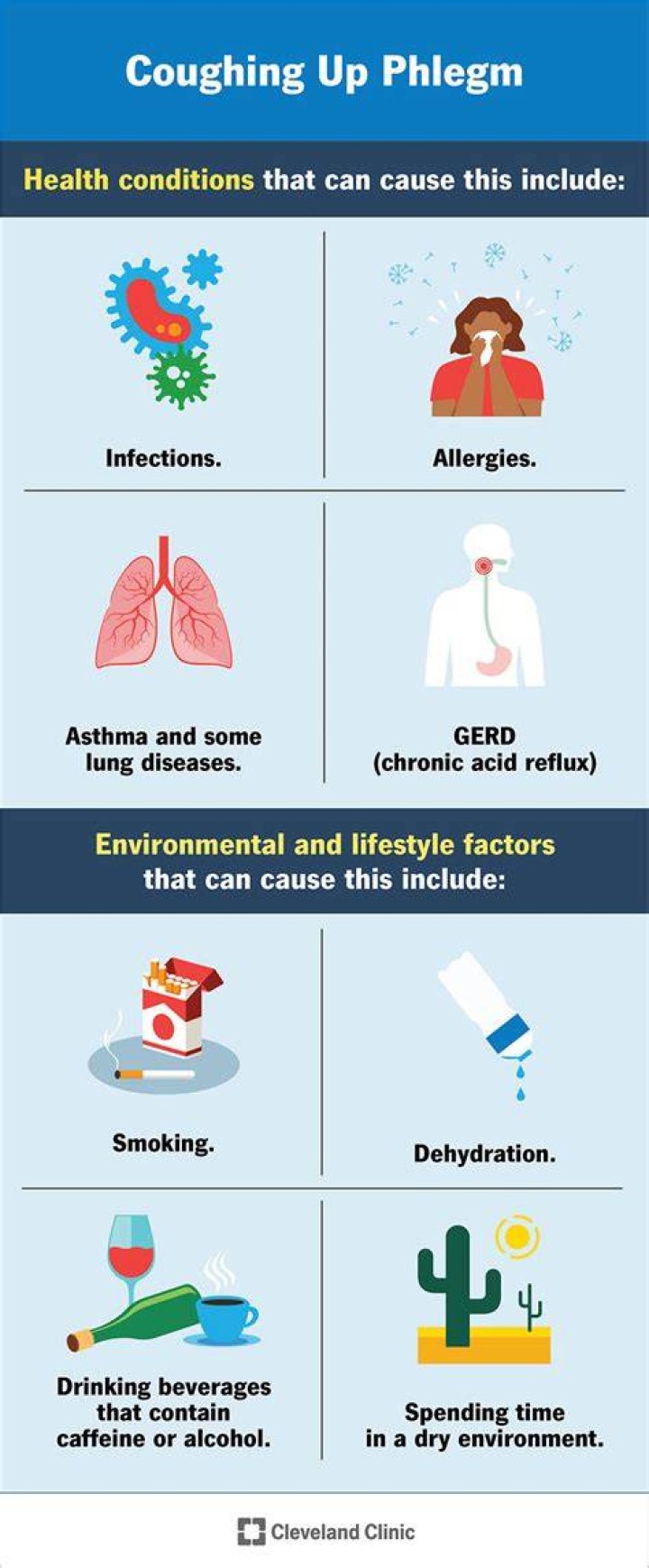What gets rid of phlegm?