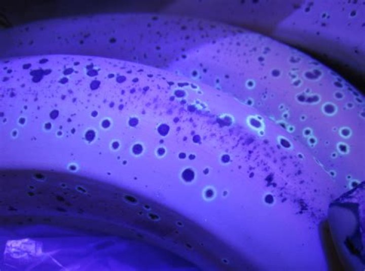 What glows purple under black light?