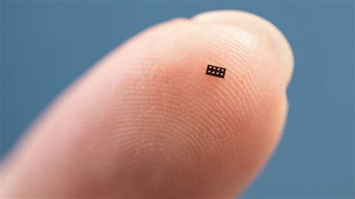 What is a ISO microchip?