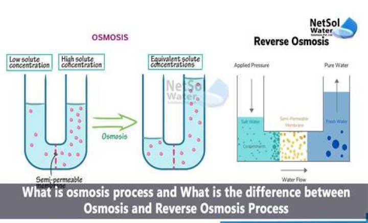 What is a reverse swallow?