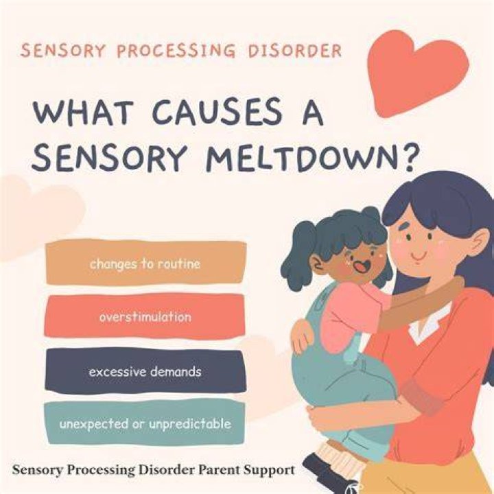 What is a sensory meltdown?