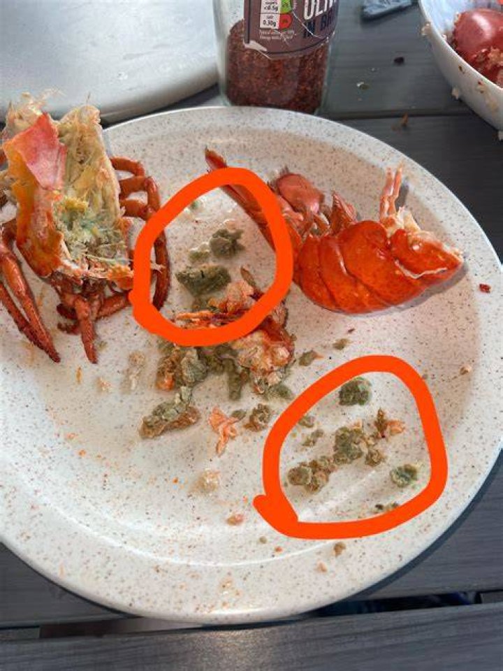 What is lobster poop called?