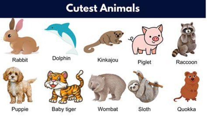 What is the cutest word?