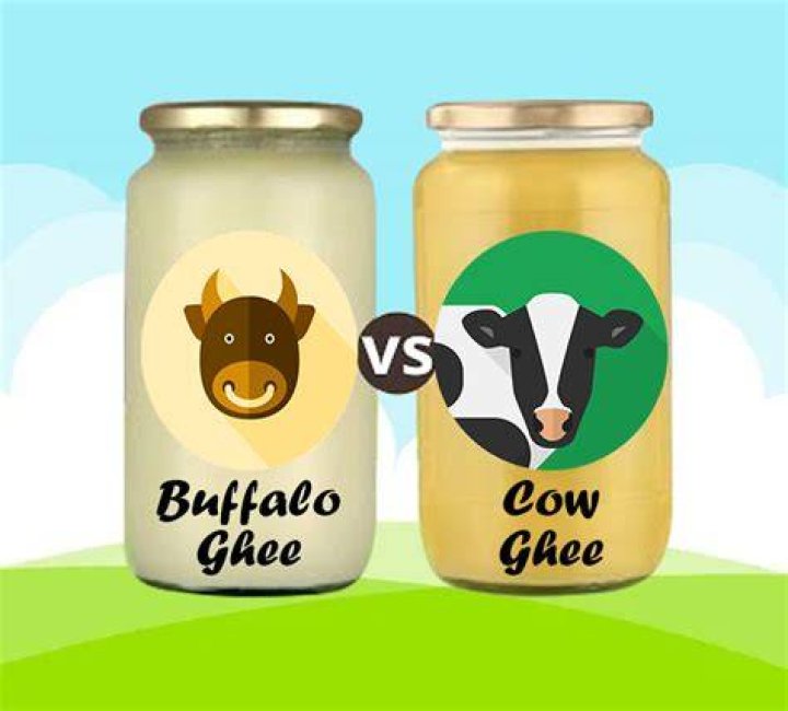 What is the difference between cow ghee and buffalo ghee?