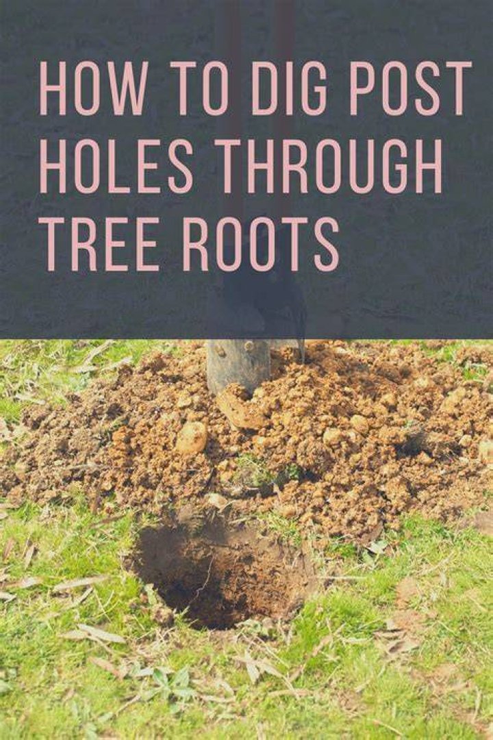 What is the easiest way to dig up roots?