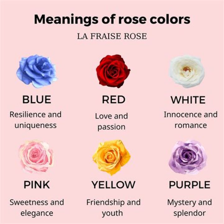 What is the meaning of 4 roses?