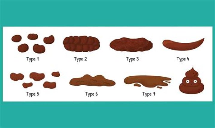 What is the number of poop?