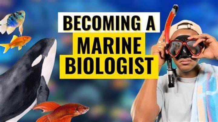 What is the personality of a marine biologist?