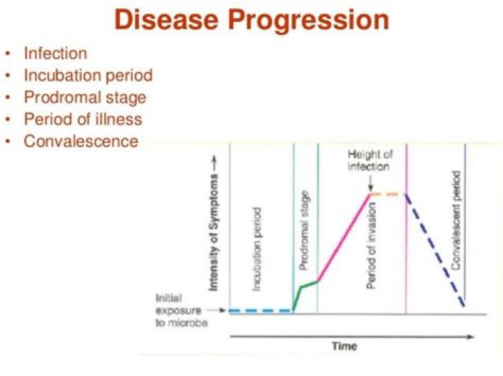 What is the prodromal stage?