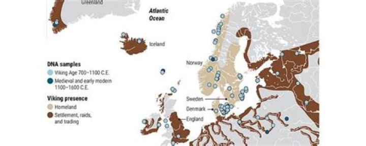 What is Viking DNA?