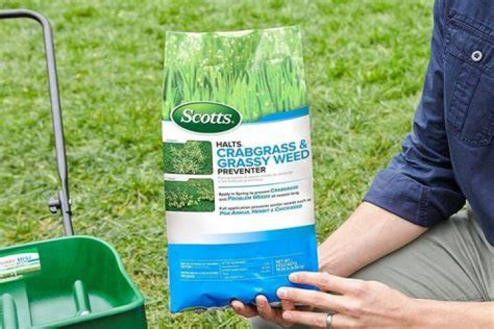 What kills crabgrass permanently?