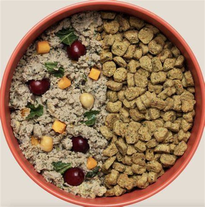 What meat is healthiest for dogs?