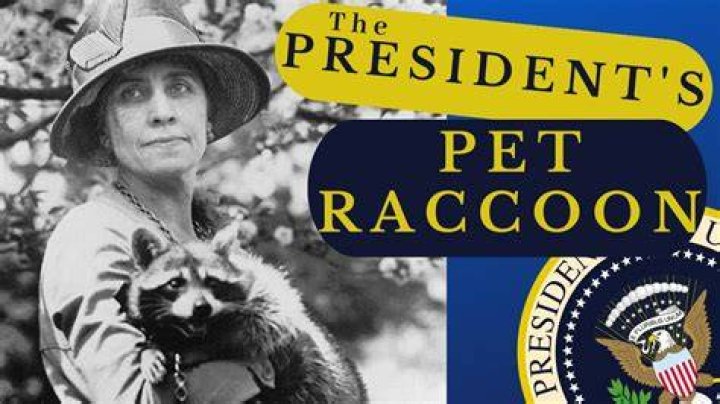 What president had a pet squirrel?