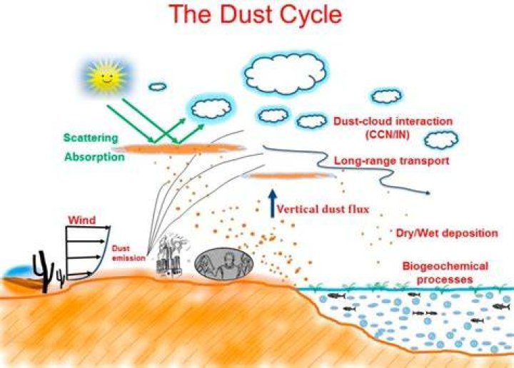 What takes dust out of the air?