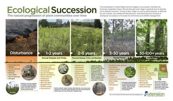 What trees are difficult to grow?