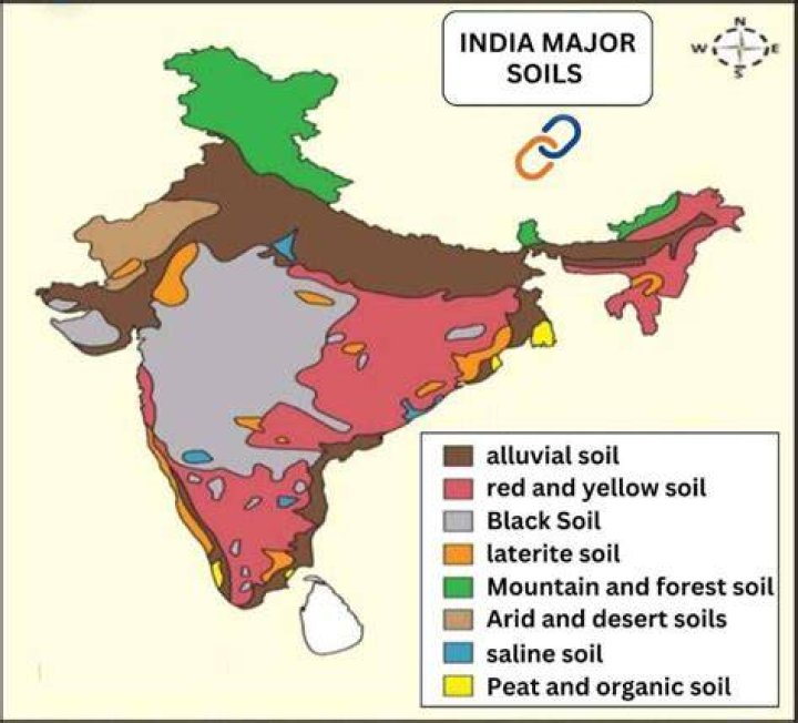 Where clay soil is found in India?