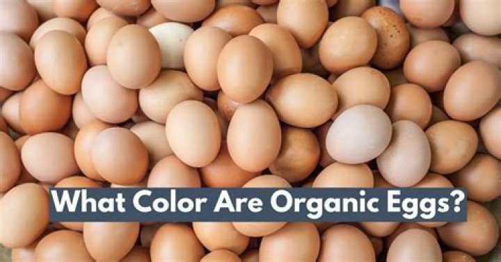 Which eggs are really organic?
