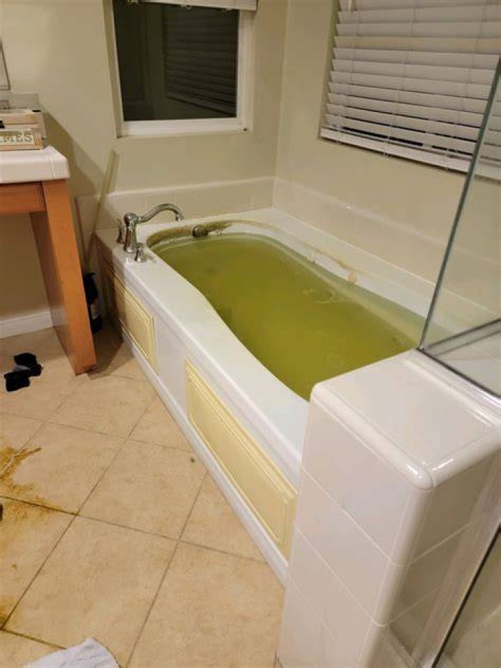 Which female singer died in a bathtub?