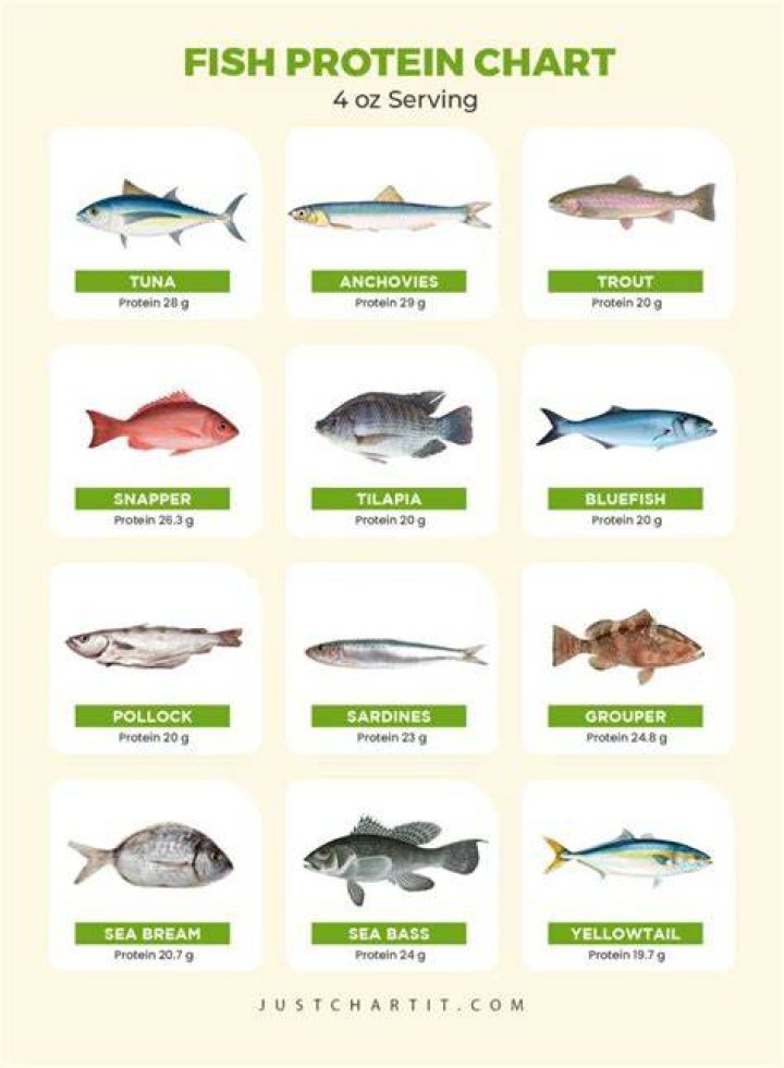 Which fish is highest in protein?