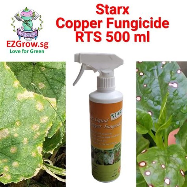 Which is the best fungicide for downy mildew?