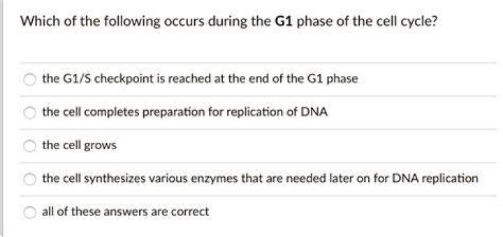 Which of the following occurs during G1?